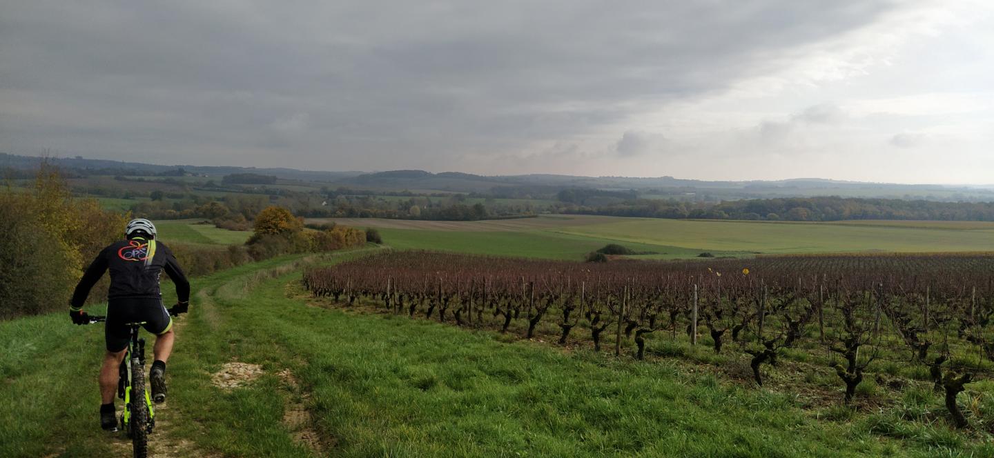 Espace VTT-FFC Entre Bourges, Menetou-Salon, Sancerre - Circuit N° 11 : Dragon