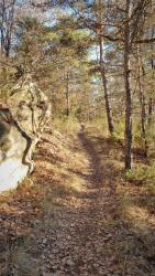 Chemin des Diligences