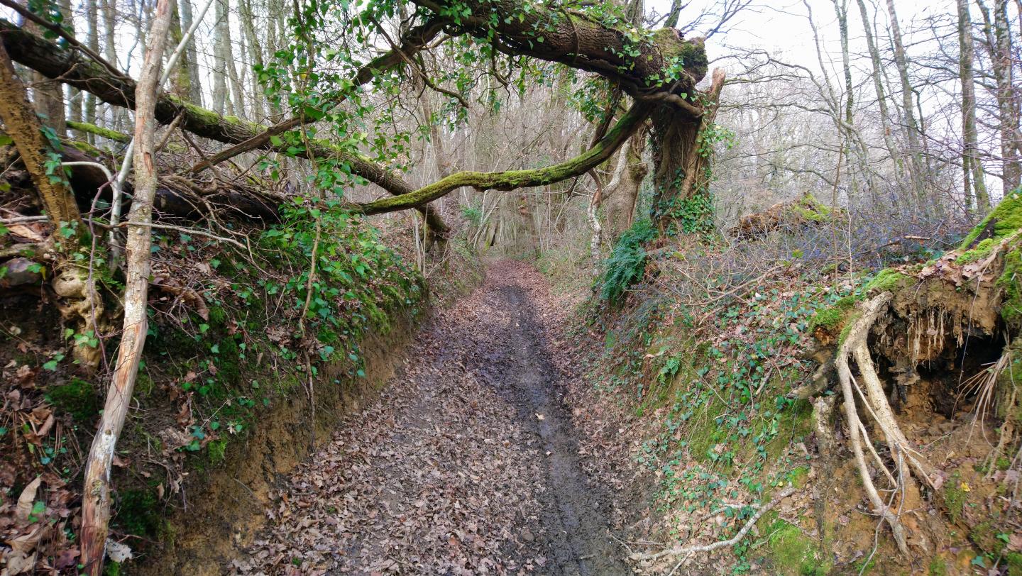 Espace VTT-FFC Entre Bourges, Menetou-Salon, Sancerre - Circuit N° 13 : Vasselay