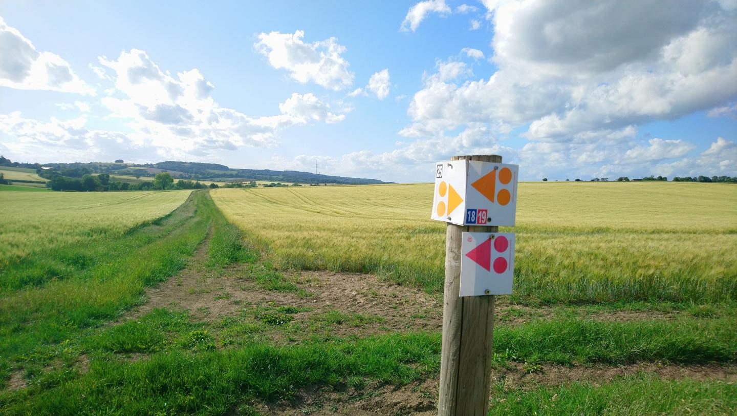 Espace VTT-FFC Entre Bourges, Menetou-Salon, Sancerre - Circuit N°18 : Le domaine de la Reculée