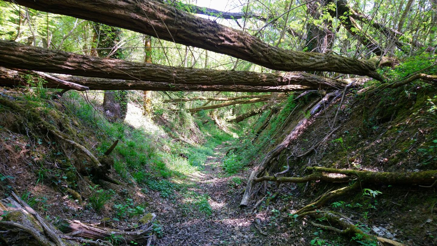 Espace VTT-FFC Entre Bourges, Menetou-Salon, Sancerre - Circuit N°35 : Les collines de Barlieu
