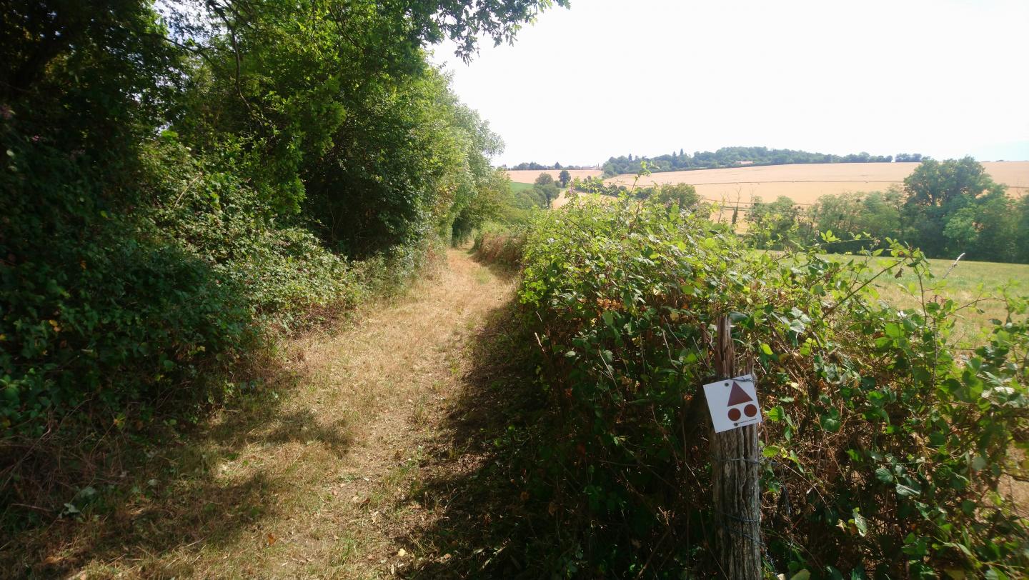Espace VTT-FFC Entre Bourges, Menetou-Salon, Sancerre - Circuit N°36 : le Fait des Marnes