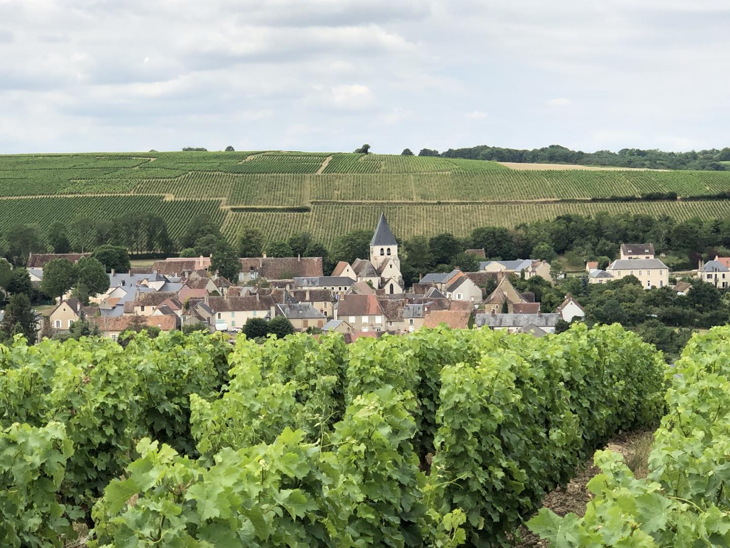 Espace VTT-FFC Entre Bourges, Menetou-Salon, Sancerre - Circuit N°37 : Du pays des Birettes aux vignobles sancerrois