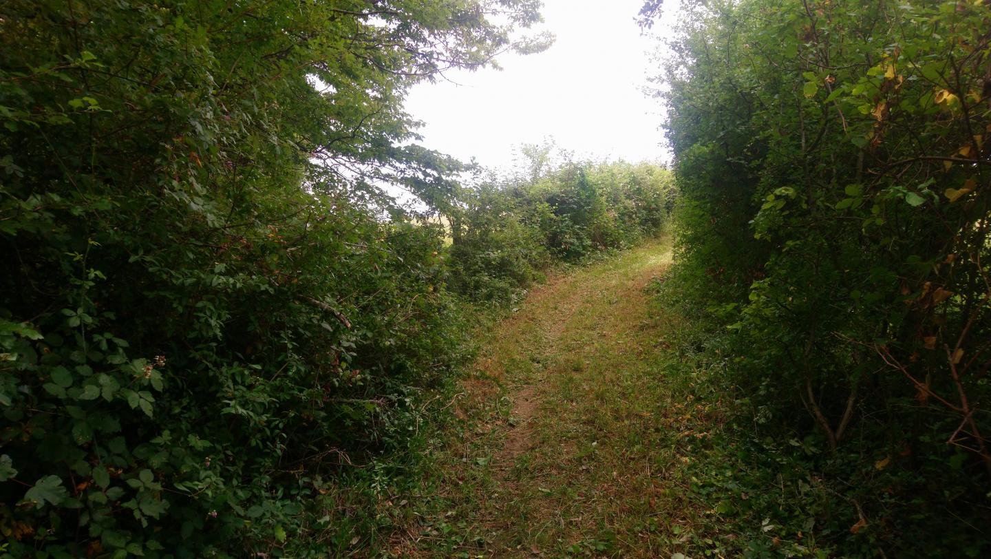 Espace VTT-FFC Entre Bourges, Menetou-Salon, Sancerre - Circuit N°43 : les silex de Villegenon
