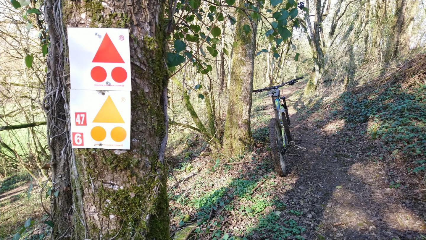 Espace VTT-FFC Entre Bourges, Menetou-Salon, Sancerre - Circuit N°47 : Vignes, étangs et pommiers