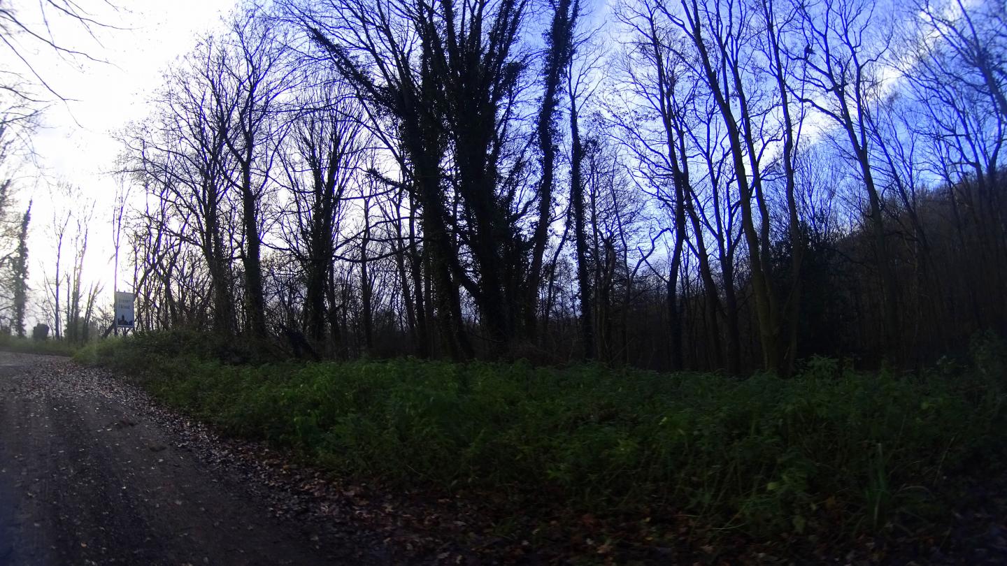 De Waterloo à la forêt de Soignes - Version 2