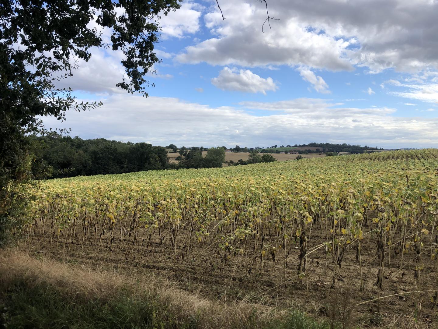 Pompertuzat et les alentours
