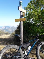 VTT-24068