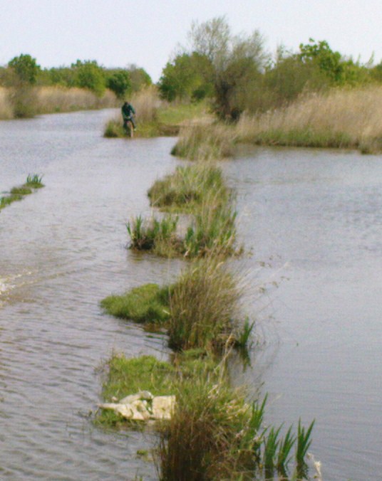 Vias - Agde - Grau d'Agde