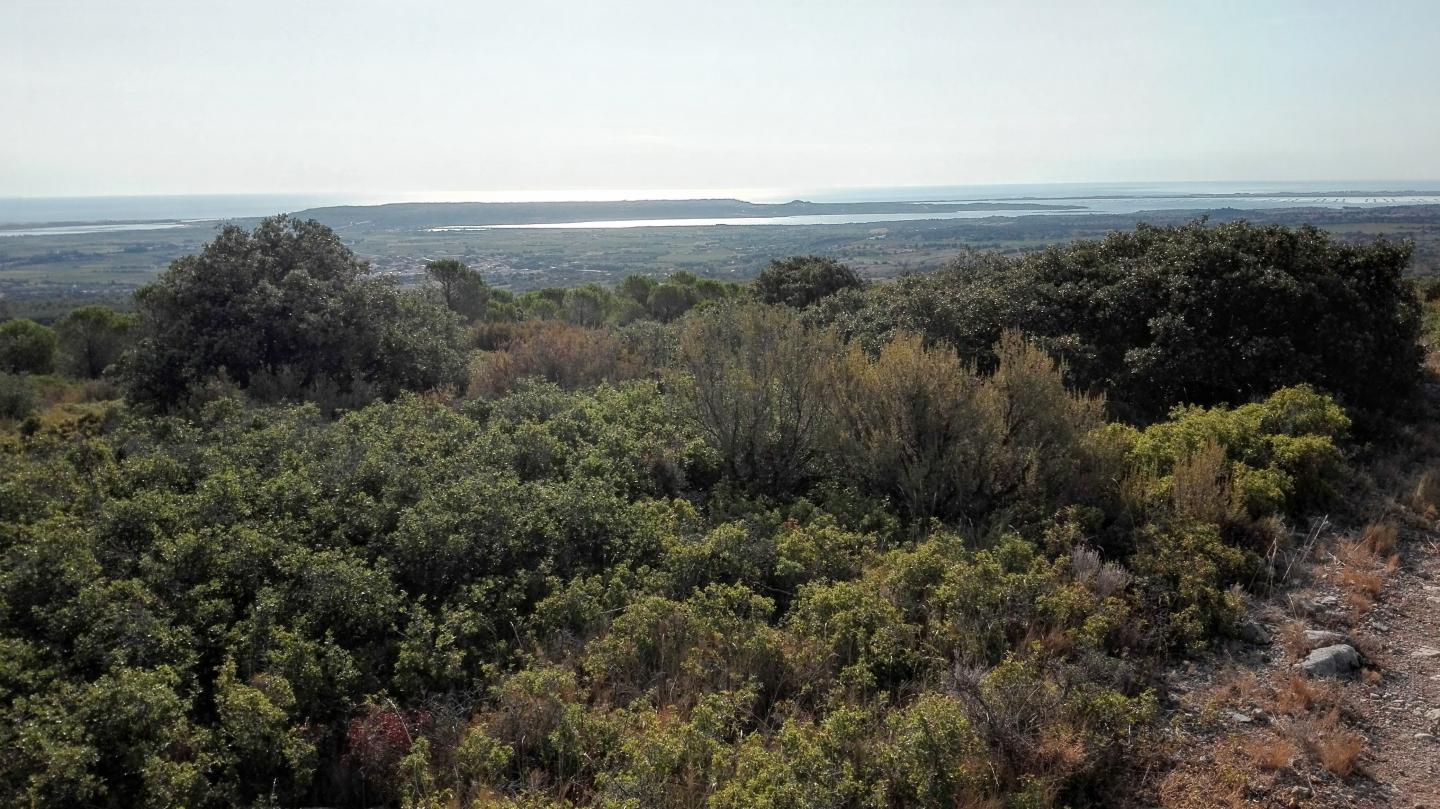 La Franqui - Caves - Treilles - Fitou