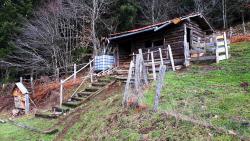 Les Nioules