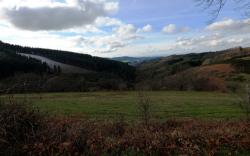 Paysage