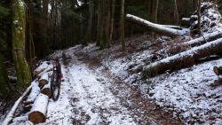 Chemin forestier enneigé (26/01/2021)