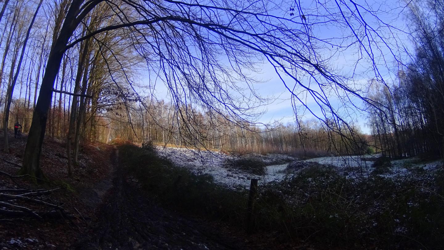 De Ronquières au bois de la Houssière