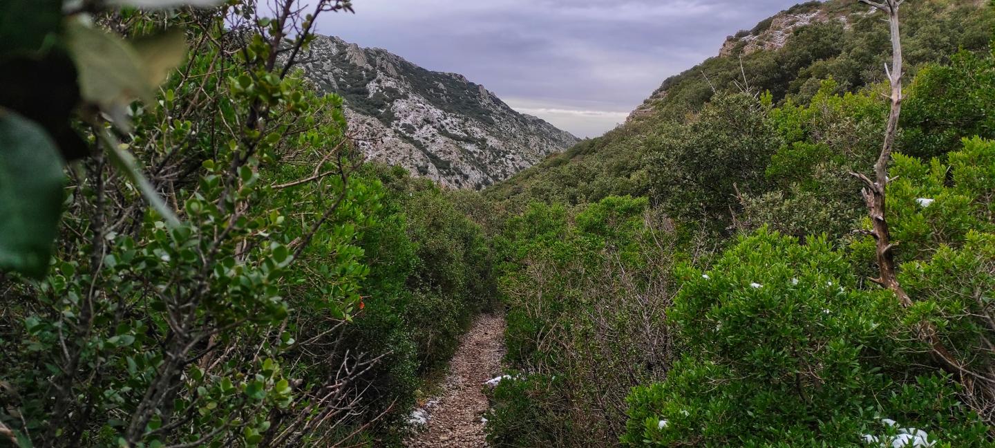 Eygalières - Les Opies - Aureille - Eygalières