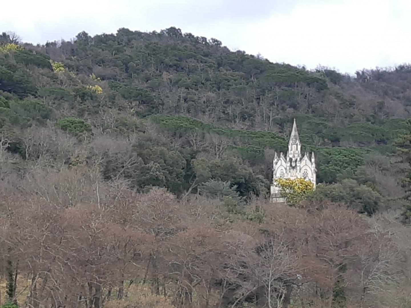 Boucle Bormes-les-Mimosas - Notre-Dame des Anges