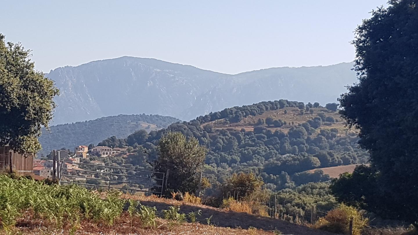 Liscia - Ambiegna - Arro