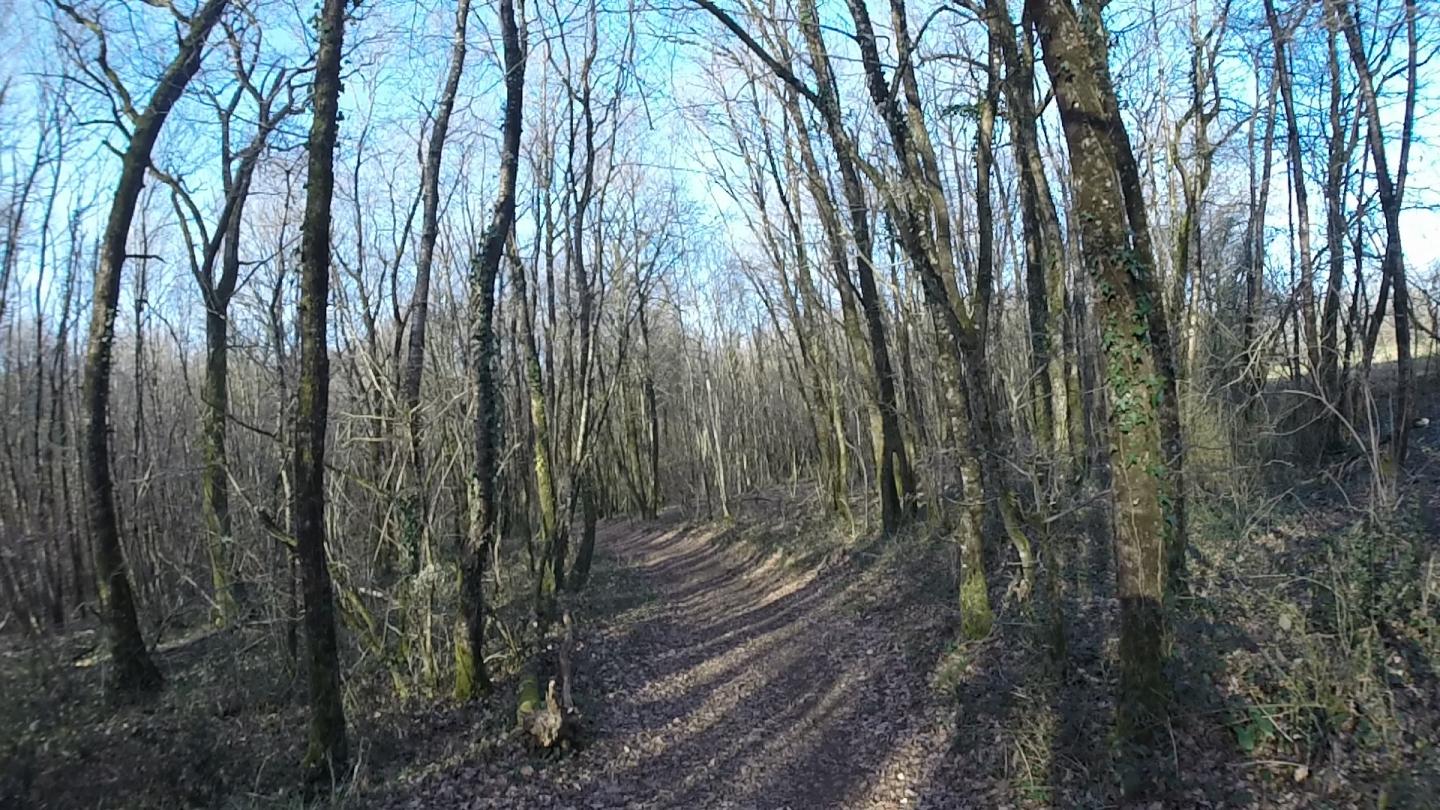 Dans les pas de Mélusine