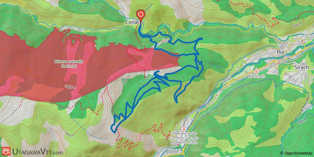 Forêt domaniale du Coronat