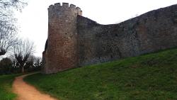 Saint Haon le Châtel
