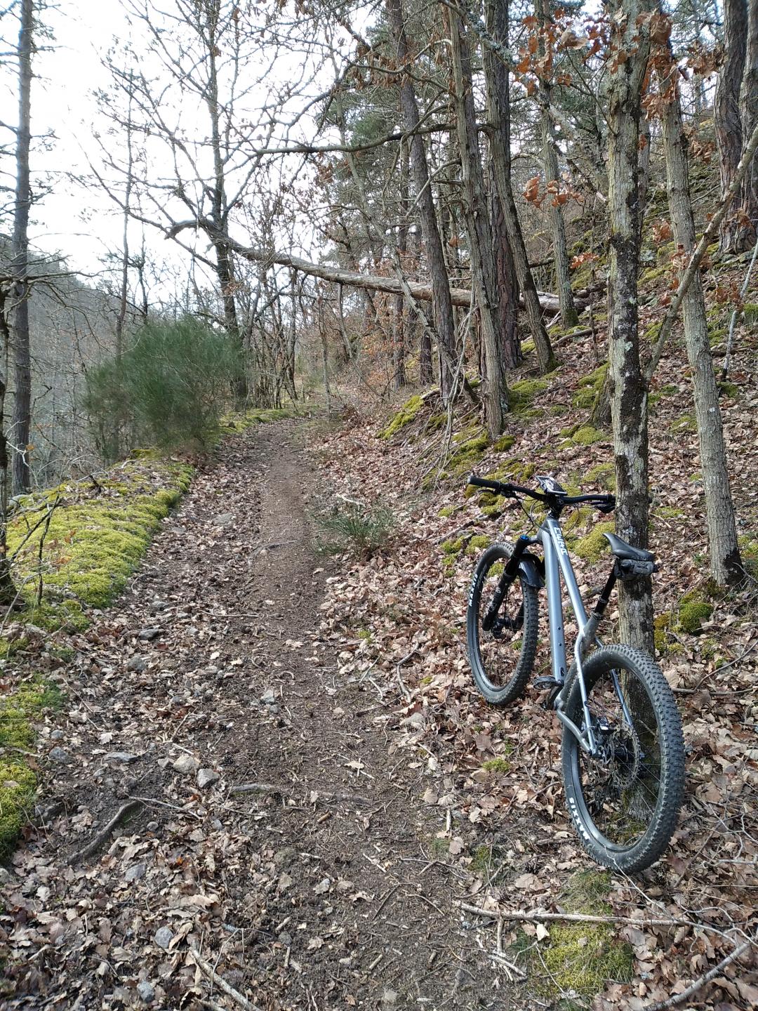 Sentes de la vallée du Lignon