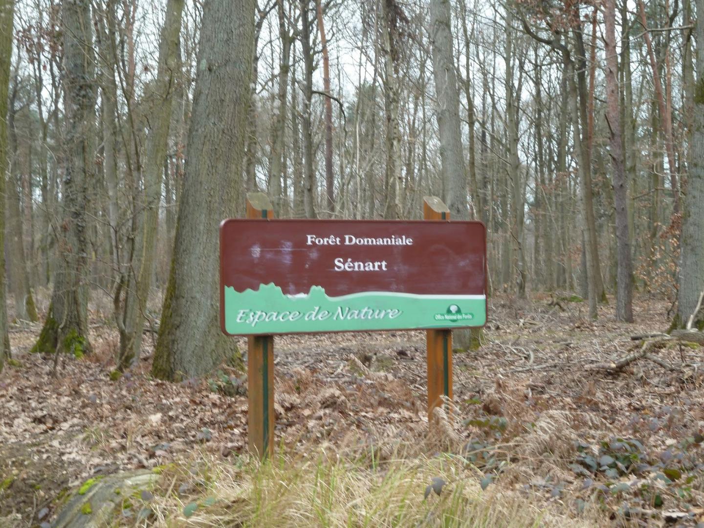 Le tour de la forêt de Sénart
