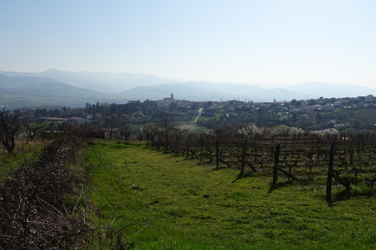 Valfleury - Croix de Montvieux