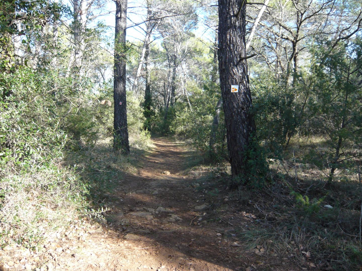 Pays de Fayence - Circuit N°3 : "VTT sous tension"