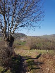 Montée vers la Fayolle