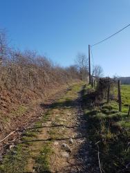 Montée vers la Fayolle
