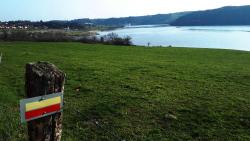 GRP, vue d'ensemble