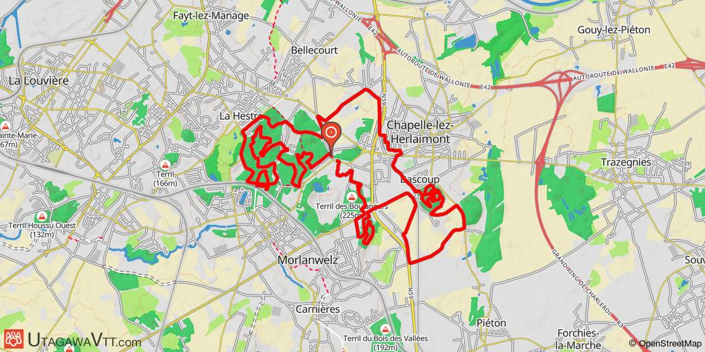 La Charbonnière haineuse