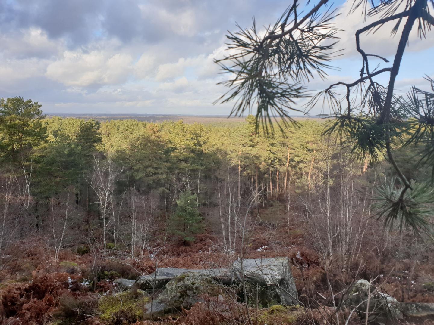 Cuvier - Cassepot