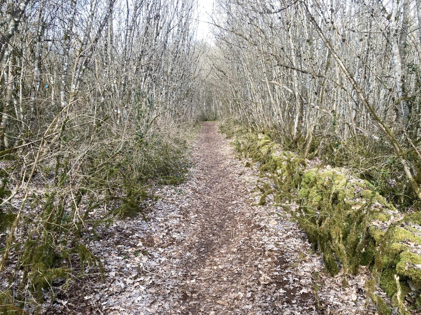 Les chemins d'Ahuy