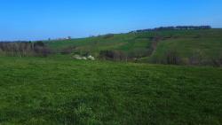Paysage agricole
