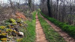 Piste agricole et muret