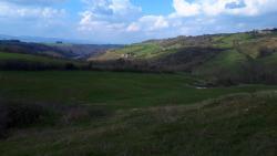 Paysage