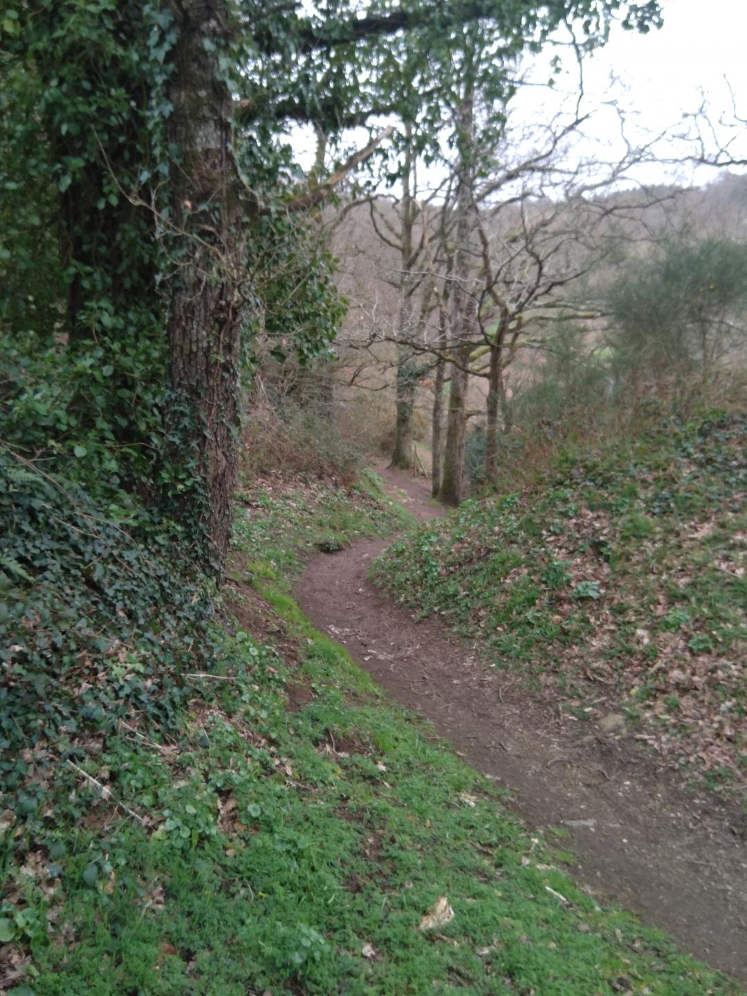 Vallée du Frémur