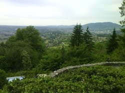 Haut de la buisse