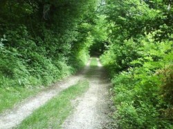 Montée