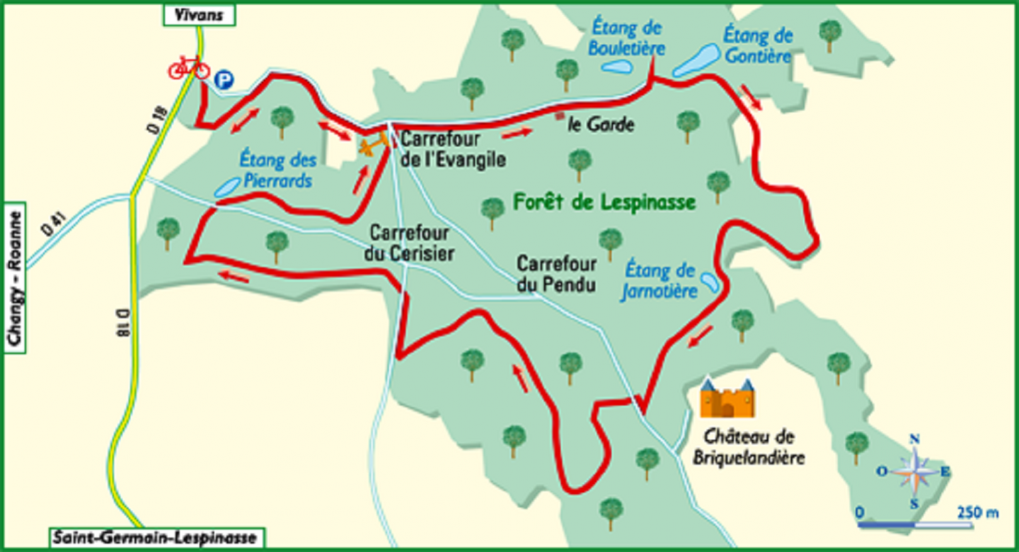 Forêt de Lespinasse
