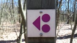 Forêt de Lespinasse, balisage du circuit VTT