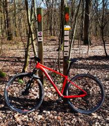Forêts de Lespinasses, carrefour, circuit VTT à gauche et circuits pédestres à droite