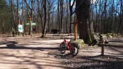 Forêt de Lespinasse, carrefour de l'Évangile