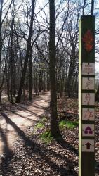 Forêt de Lespinasse, retour commun de tous les circuits