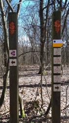 Carrefour des circuits, pédestres à droite et VTT à gauche
