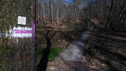 Forêt de Lespinasse, franchissement d'une dépression avec ponton