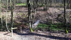 Forêt de Lespinasse, franchissement d'une dépression avec ponton