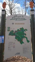 Forêt de Lespinasse, carrefour de la Briquelandière