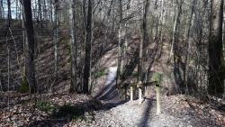 Forêt de Lespinasse, franchissement d'une dépression avec ponton (marche en terre, court poussage)